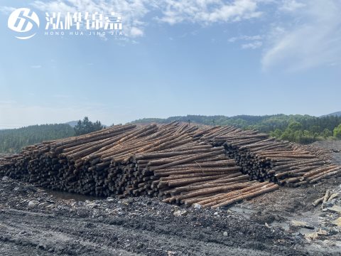 河道打樁為什么選擇松木樁來處理軟地基？-松木樁施工使用范圍